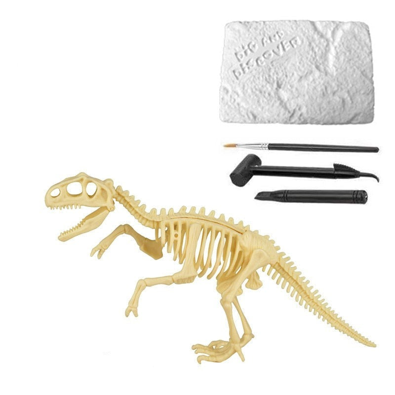 Dinosaur Fossil Kit de Escavacao de Fosseis de Dinossauros para Criancas